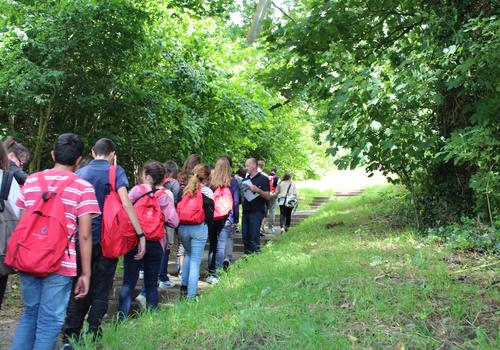 Salidas al campo Atlas - Cursos de verano para jóvenes en Dublín