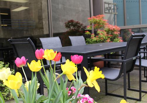 Zona de reunión para los estudiantes de iTTTi Vancouver