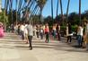 Clases de flamenco Academia AIFP